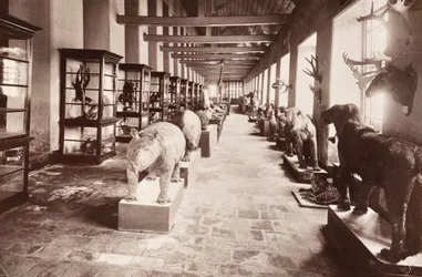 Nationalmuseet i Bangkok, cirka 1890